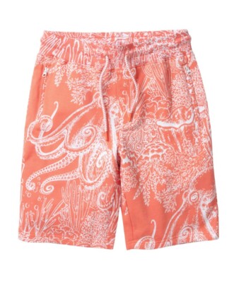 

Мужские шорты Born Fly Coral Pearls Loopback, Коралл