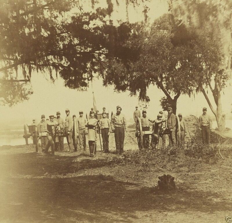 Confederate CSA Artillery Cannon Guns Charleston SC 1863 8x10 US Civil War Photo