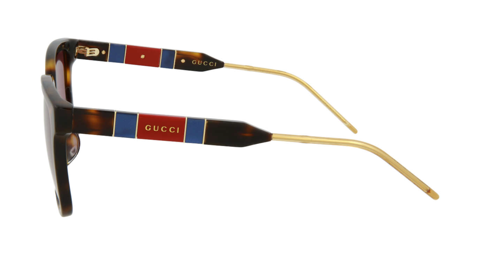 Pre-owned Gucci Gg0599sa-003 Women's Havana & Gold / Violet Tinted Sunglasses In Purple