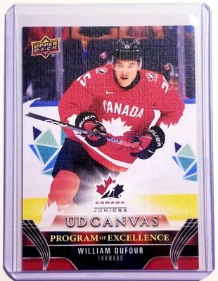 2023-24 Upper Deck Series 2 William Dufour UD Canvas Program Of Execllence