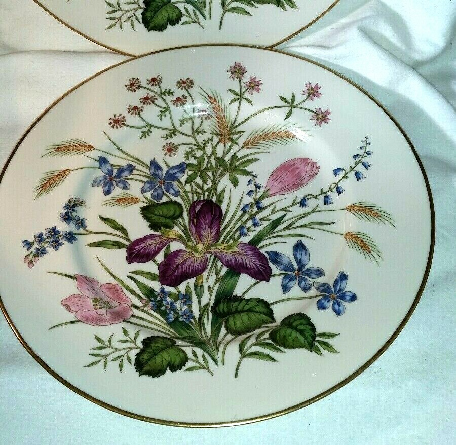 10  FRANCISCAN MARIPOSA DINNER PLATES 10 1/2