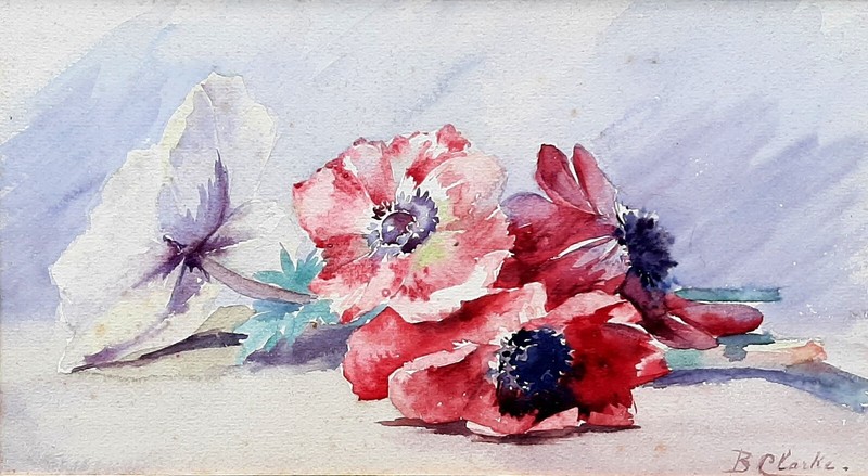 Aquarelle Ancienne Fleurs AnÃ©Mones Still Life SignÃ©E 29 X 16 Cms