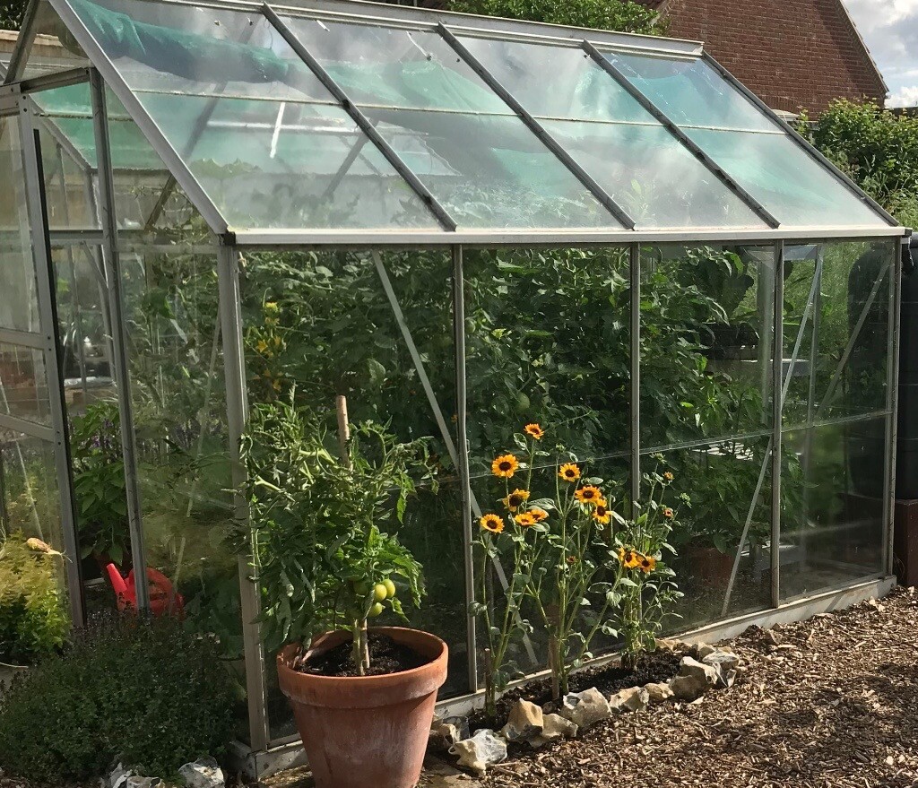 Greenhouse glass panes in Overton, Hampshire Gumtree