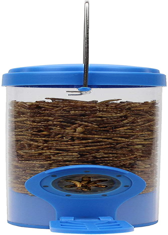 Kit Wild Pop Seed With Flexports