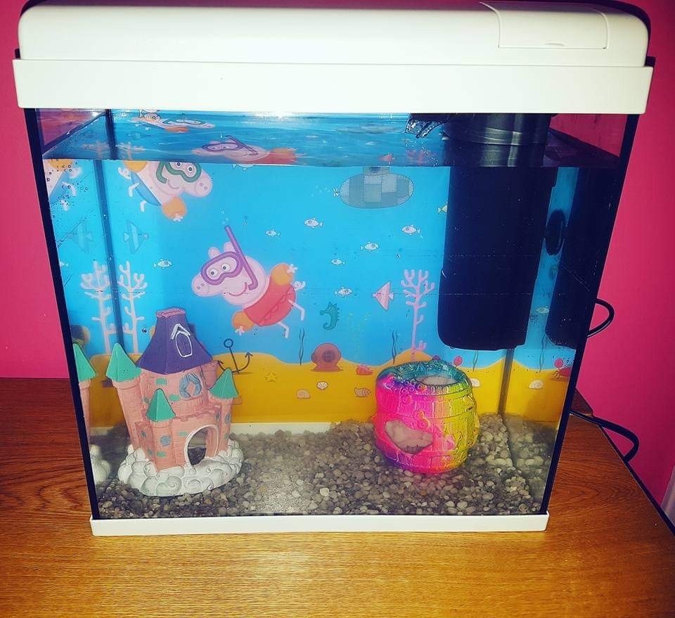 Unduh 560 Background Aquarium Cost HD Gratis