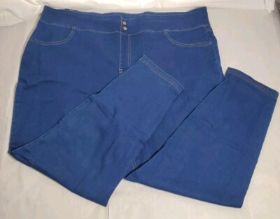 Womens Terra & Sky Medium Wash Skinny Mid Rise Jeggings NEW! NWT 3X