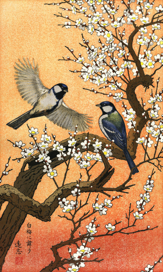 アート・デザイン・音楽 CLASSIC NATURAL HISTORY PRINTS BIRDS Classic Natural History Prints Birds, HCDJ Vintage 1990 1st