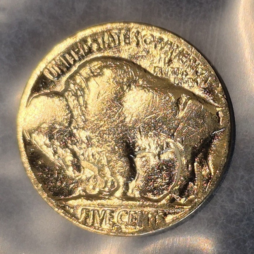 Gold plated Buffalo nickel reverse, angled view