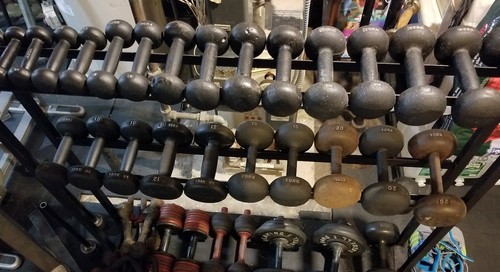 1-100 VTG York Barbell Bun/Globe dumbbell  strongman gym rare w/ 12lb buns