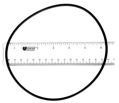 Astral Pool 773R1520035 Housing O-Ring