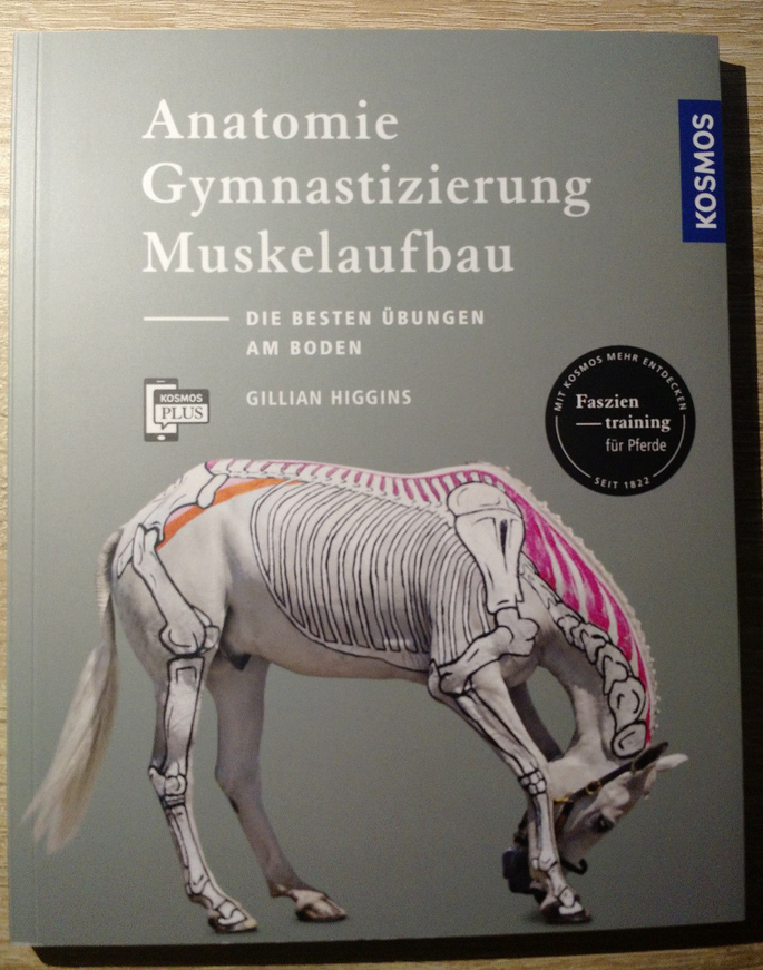 Pferde Anatomie, Gymnastizierung, Muskelaufbau (Klappenbroschur)