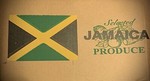 bad_habits_records