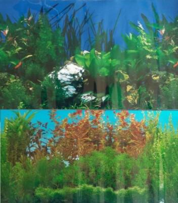 Underwater Plants Rocks Scene Double Sided Aquarium Background  12'' H x 20''