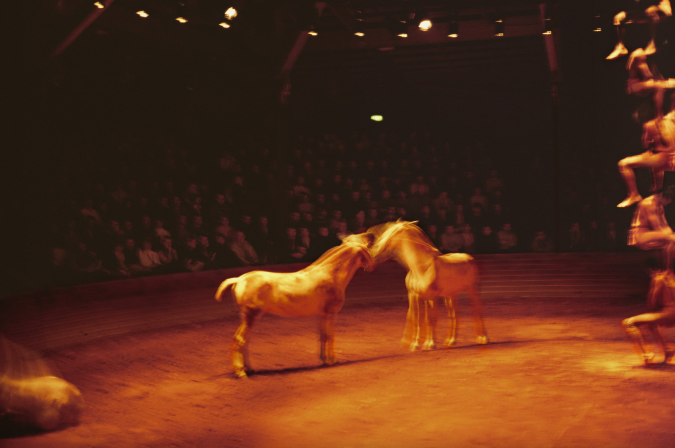 NAN GOLDIN - Horse Circus (2025) signed limited edition