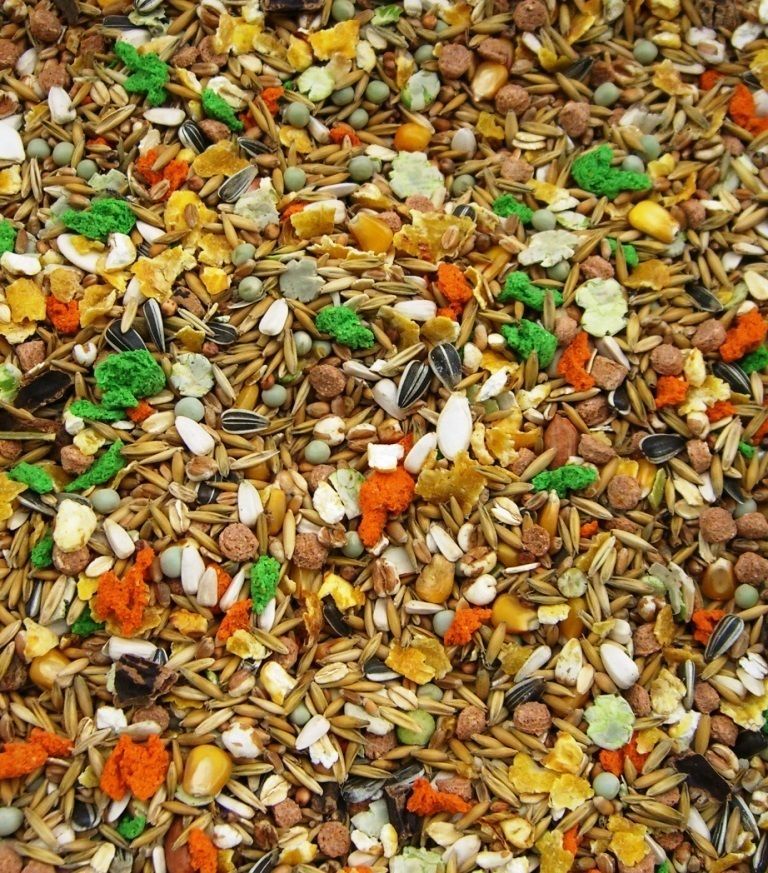 Futterpellets für Haustiere