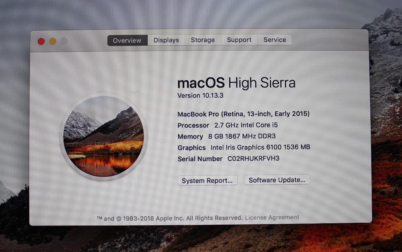 Apple MacBook Pro (13-inch Early 2015)