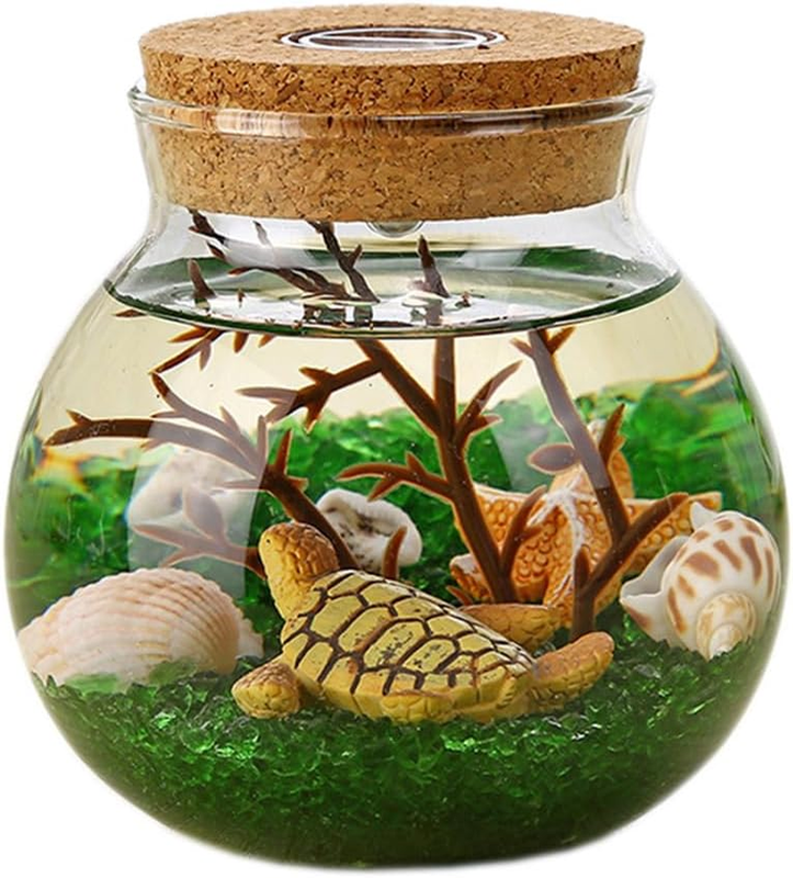 4.33 Inch Glass Terrarium with LED Light & Cork Lid, Transparent Tabletop Glass