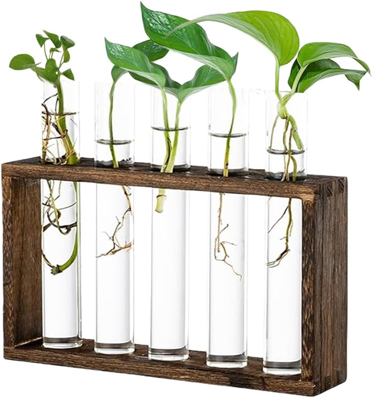Wall Hanging Test Tube Planter, Hydroponic Plant Stand, Plant Terrarium with Woo