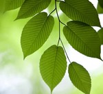 soapeauty 的用户个人档案