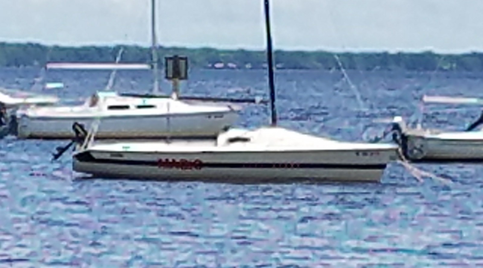 Holder 20