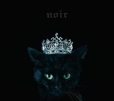 Best Selection `Noir` (Limited) | eBay