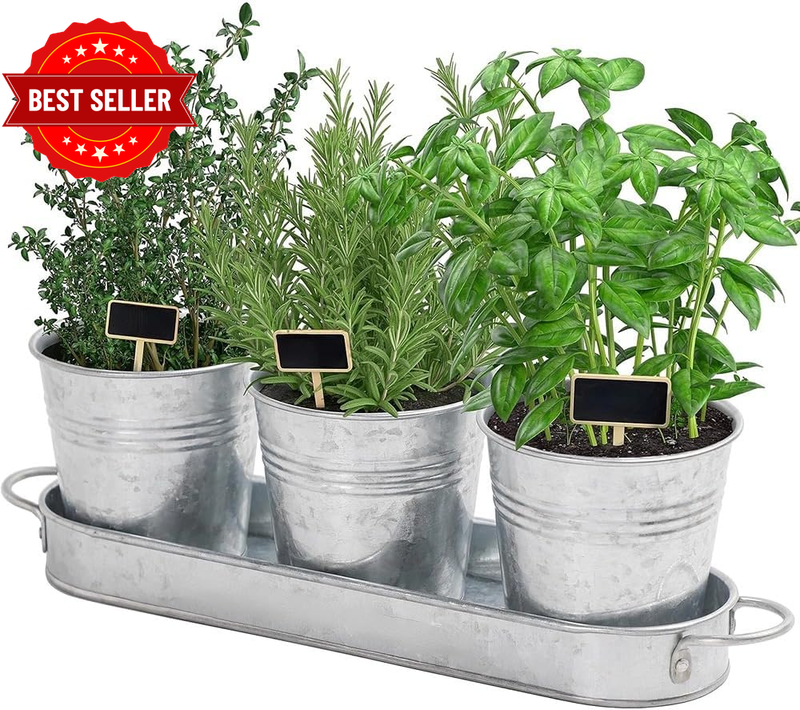Herb Garden Planter Indoor Kit with Tray, Kitchen Windowsill Metal Plant Pots Co
