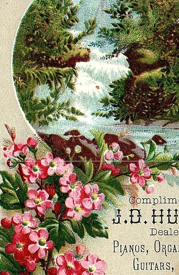 1880s J D Hughes Pianos Organs Violins Gardner MA Pink Flowers & Waterfall Inset
