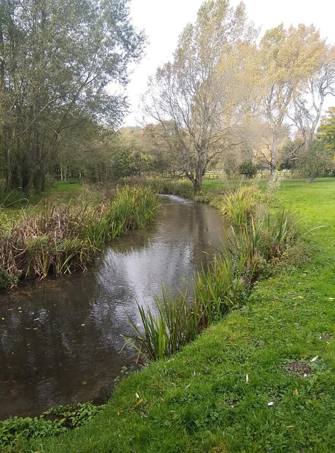 Fly Fishing On the River Meon - **Back in the Spring** | in Southampton, Hampshire | Gumtree
