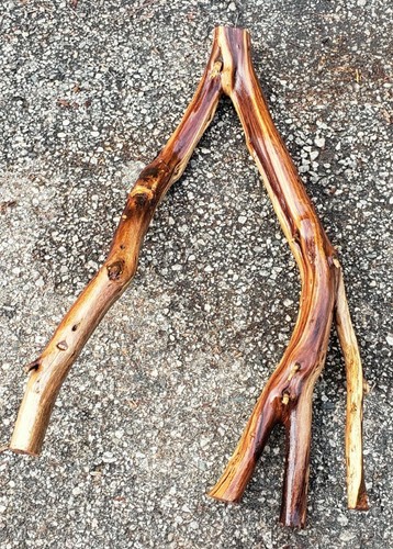 Large Manzanita Driftwood aquarium terrarium aquascape crafts