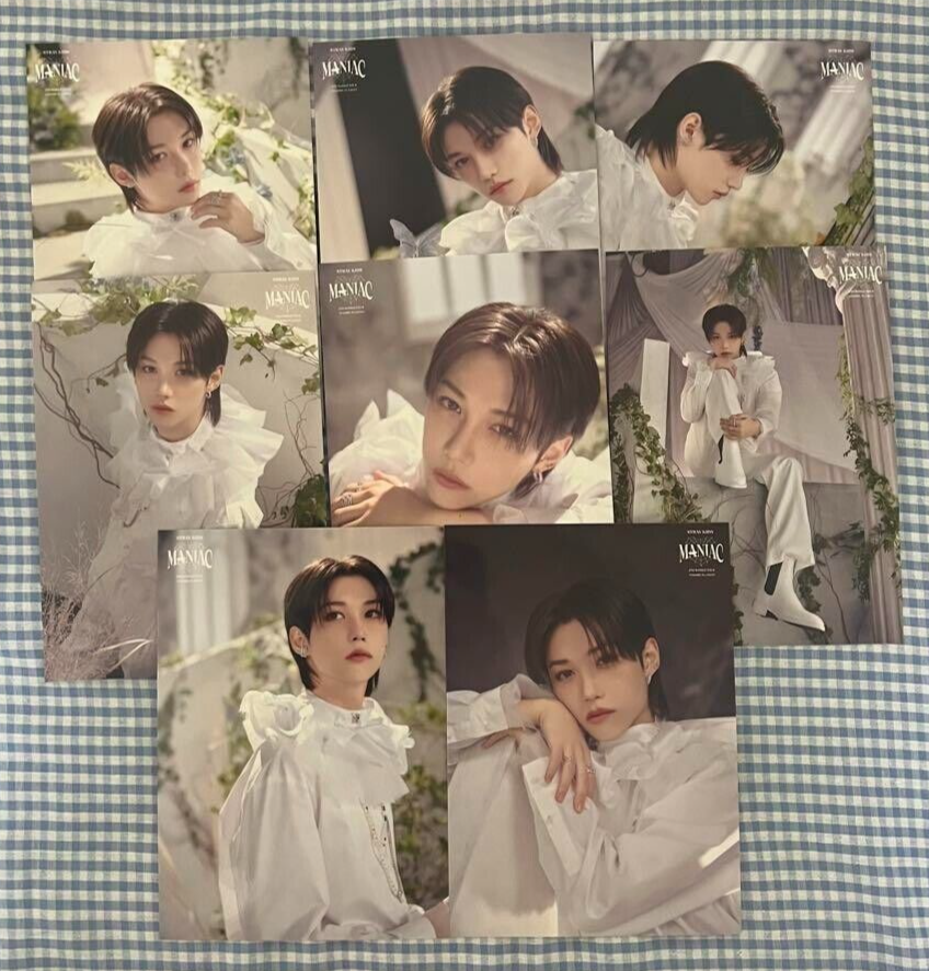 殿堂 kids stray MANIAC K-POP set complete Felix card photo random タレントカード