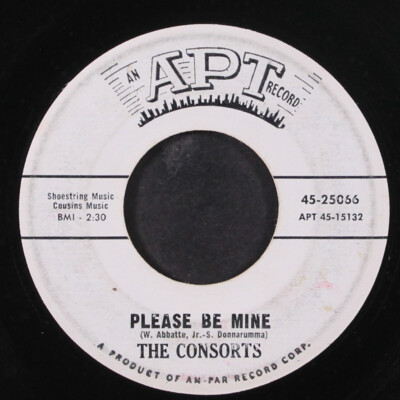 CONSORTS: please be mine / time after time APT 7'' Single 45 RPM
