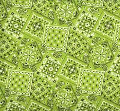 Wet Nose Designs BIG KITTY CAT COLLAR 5/8'' Wide Lime Green Bandana Western