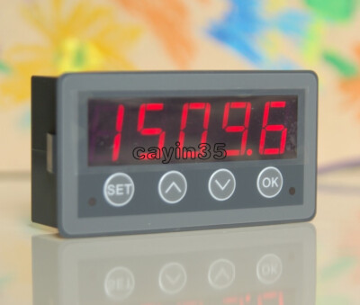 Programmable RS485 ModBus-RTU Communication Meter Micro-Controller Host/Master