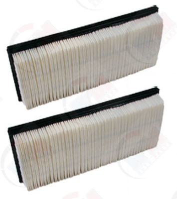 Pack of 2 Air Filter 12833002 for Mercedes C CLK CL CLS E G GL GLK ML R S SL SLK
