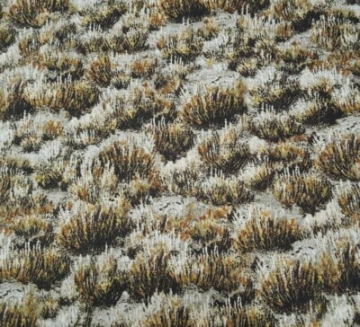 Where The Buffalo Roam BTY Cynthie Fisher Quilting Treasures Prairie Brown Grass