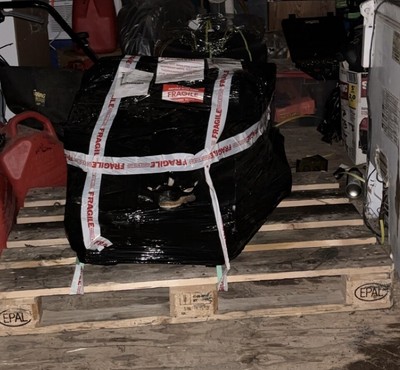 image 5 of engine