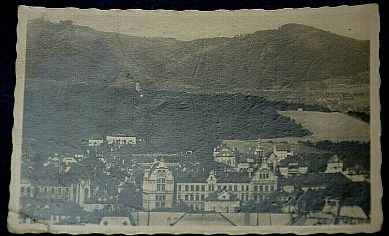  52581 Ak Leitmeritz Villenviertel 1938 Blick Aus Luft 