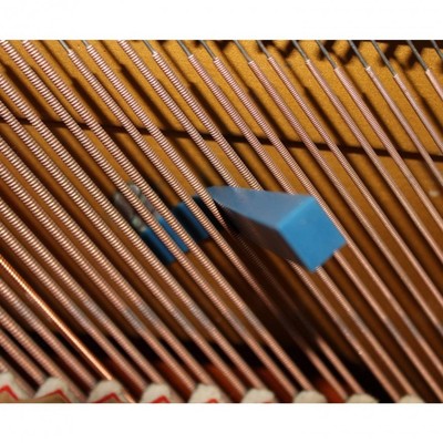 Piano Tuner Kit Tools Temperament Strip Rubber Wedge Mute Wrench Hammer Case