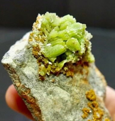 8.9cm Bright Green Pyromorphite Cluster on Matrix - Daoping Mine, Guangxi, China