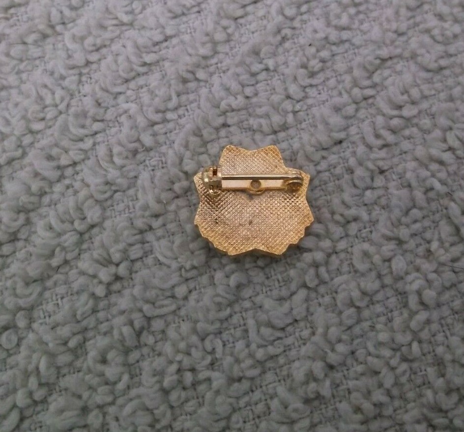 Vintage VFW Auxiliary Lapel Pin ~ Goldtone & Enamel