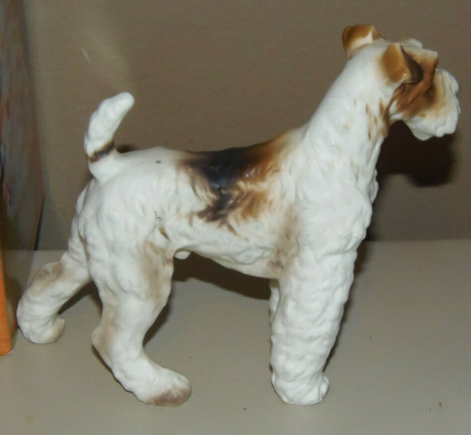 WELSH TERRIER DOG LEFTON 6