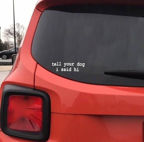 Tell Your Dog I said Hi Car Truck Van Laptop Animal Pet Vinyl Decal Sticker