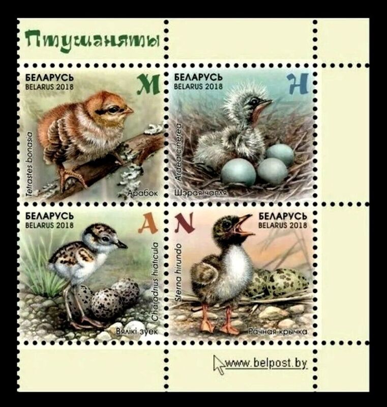 Belarus 2018 * Birds * Chicks * FAUNA * Full Set of 4 stamps * MNH