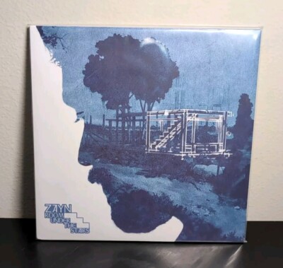 ZAYN Room Under The Stairs Blue White Vinyl 2LP #11/ 3000 Blood Recs [SHIPS NOW]