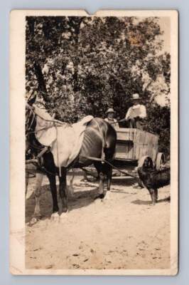 Happy Farmer & Son in Horse Cart Cab RPPC Antique Dog Photo Postcard 1910s