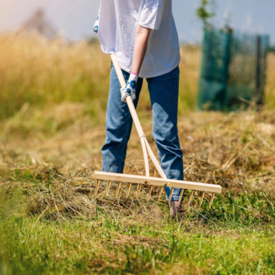 Wooden rake deals