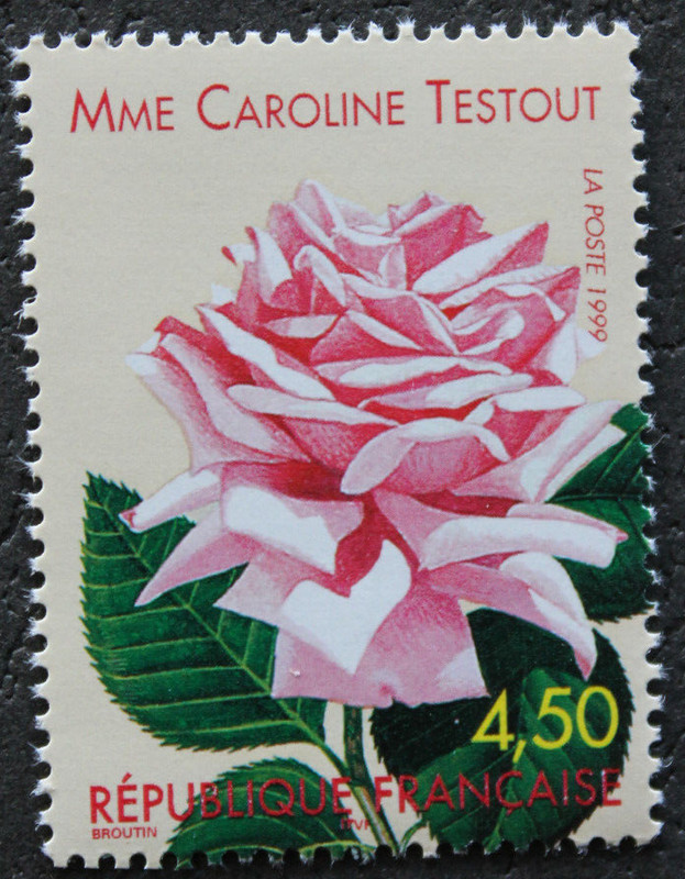 Timbre - France - Mme Caroline Testout - Neuf ** - Yt3249 - 1999