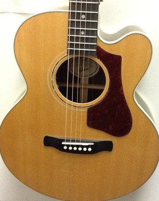 Gibson AG Parlor RW Cutaway Acoustic-Electric Guitar (with Case)