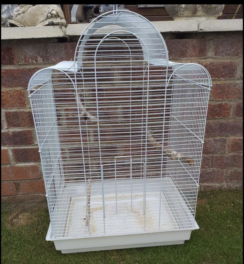 Bird cage in Edenthorpe, South Yorkshire Gumtree