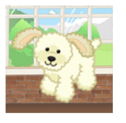 Webkinz Classic Blonde Cockapoo CODE